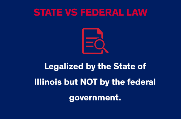 State Law vs Federal Law